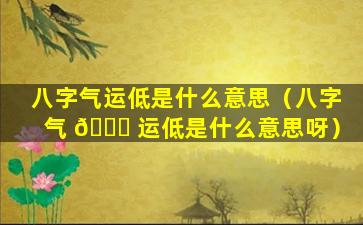 八字气运低是什么意思（八字气 🐞 运低是什么意思呀）